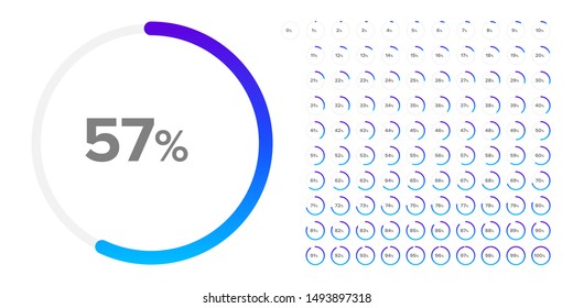 Set Of Circle Diagrams For Infographics. Circle Percentage Chart In 1 Percent Increment - Vector