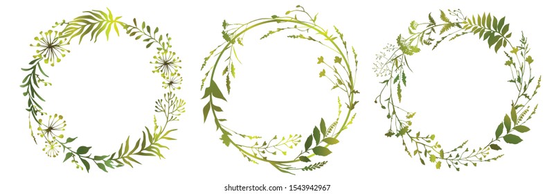 Conjunto de hierbas de prado de marco floral. Coronas verdes florales. Diseño de elementos. Ilustración vectorial.