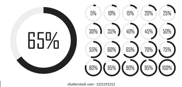 Set of circle percentage diagrams from 0 to 100 for infographics, lignt, 5 10 15 20 25 30 35 40 45 50 55 60 65 70 75 80 85 90 95 percent. Vector illustration.