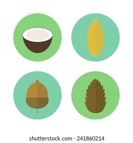 Set of circled icons nuts in flat style. Vector elements for design. Pine nuts, coconut, acorn and almond