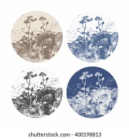 Set of circles with trees and branches silhouettes. detailed vector illustration