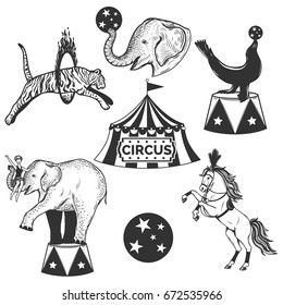 Set of circus elements.Vintage design.