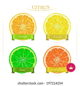 Set of citrus for food design. Fruits. Vitamin C. Orange, grapefruit, lime, lemon. 