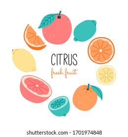Set of citrus fruit, hand drawn colorful in flat cartoon style. Lemon, orange, grapes and lime, slice in circle. Vector illustration, isolated on white background