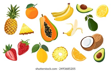 Set von Zitrusfrüchten Ikonen von ganzen und Scheiben. Natürliche tropische Früchte.  Papaya, Banane, Avocado, Ananas, Kokos, Erdbeere, Orange, Zitrone. Vektorillustration. isoliert