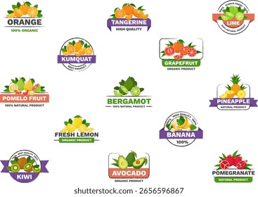 Set of citrus fruit logos - minimal flat vector illustrations on white background