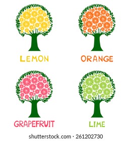Set of citrus fruit tree - lemon, orange, grapefruit and lime.