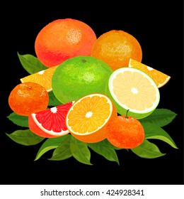 set of citrus fruits