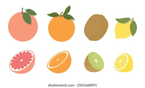 Set of citrus fruits.  Grapefruit, orange fruit, kiwi fruit, lemons. Whole and half sliced sweet fruits. Vector illustration isolated on white background, flat style.