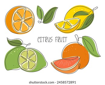 Set of citrus fruits isolated on white. Lemon lime orange grapefruit whole and cut slices. Ingredient for lemonade, cocktail, detox drink. Summer tropical fruit collection