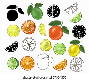 A set of citrus fruits - lemon, lime, orange, they hang on a twig, cut into pieces, circles and slices. They are colored, black silhouette and outline style. 