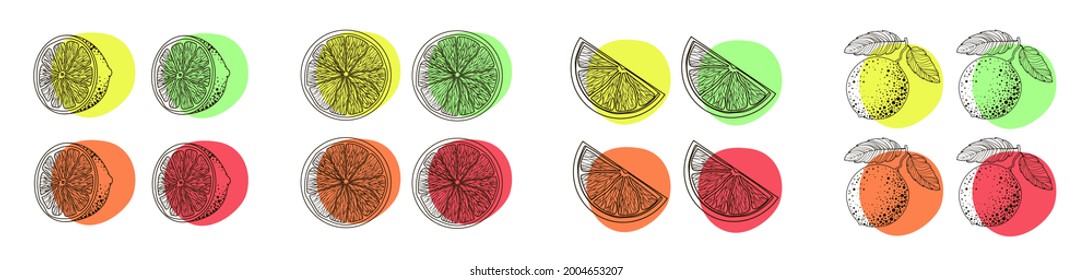 A set of citrus fruits on a branch with leaves, halves and a slice in a doodle style with orange, yellow, green and red flowers. Abstract minimalistic style. Citrus doodles. Stock vector illustration 