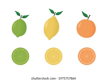 Set of citrus fruits: orange, lemon lime. vector images of fruit  and slices