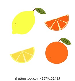 A set of citrus fruits. Orange and lemon. Illustration for design on a white background.