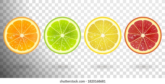 set of citrus fruits from orange, lime, lemon, grapefruit