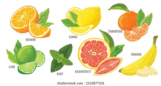 Set of citrus fruits piles, lemon lime grapefruit tangerine banana orange, hand drawn vector illustration