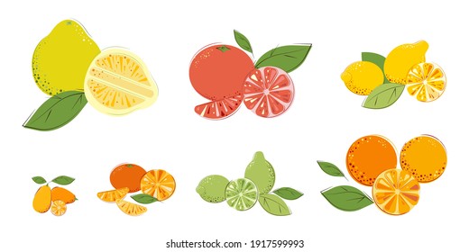Set of Citrus Fruits. Ripe Juice Vitamin Fruits: Pomelo, Grapefruit, Lemon, Oranges, Lime, Mandarins, Kumquat. Flat Vector Illustration.