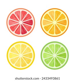 Set of citrus fruits slices. Fresh slice of orange, lemon, lime and grapefruit. Organic fruits for juice, smoothie or vitamin C healthy food. Vector illustration isolated on white background.