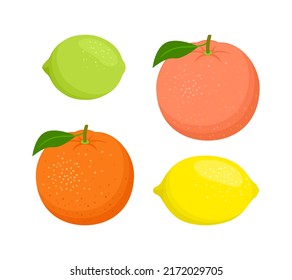 Set of citrus fruits. Vector flat illustration of orange, grapefruit, lemon and lime isolated on white.