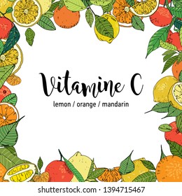 Set of citrus fruits. Vector illustration