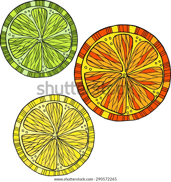 Set Citrus Fruits Vector Illustrations Orangelemon Stock Vector Royalty Free