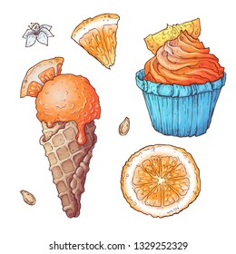 Set of citrus ice cream and cupcake. Vector illustration