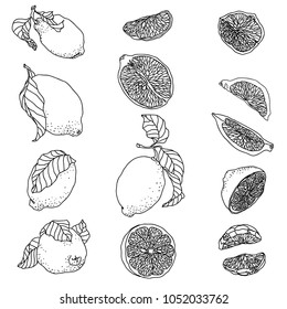 Set with citrus lemon fruits. There are whole fruits, wedges and  halves of lemons. Halves of lemons have seeds inside