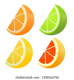 Set of citrus. Lemon, lime, grapefruit, orange. Lobules Flat realism style. Cartoon style. Vector illustration.