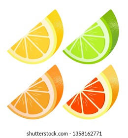 Set of citrus. Lemon, lime, grapefruit, orange. Lobules Flat realism style. Cartoon style. Vector illustration.