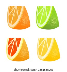 Set of citrus. Lemon, lime, grapefruit, orange. Lobules Flat realism style. Cartoon style. Vector illustration.