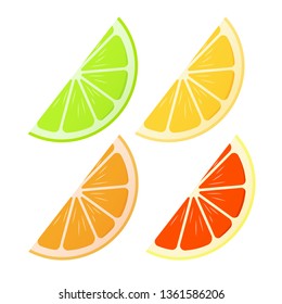 Set of citrus. Lemon, lime, grapefruit, orange. Lobules Flat realism style. Cartoon style. Vector illustration.