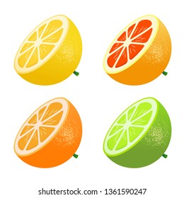 Set of citrus. Lemon, lime, grapefruit, orange.Half. Flat realism style. Cartoon style. Vector illustration.