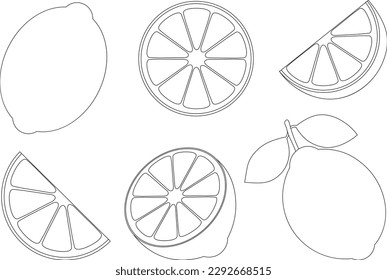 Set citrus lemon lime slices coloring vector illustration