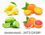 Set of citrus lemon, mandarin, lime, orange, grapefruit - whole, cut half and slices. Fresh sour citrus fruit with vitamins. Realistic 3d vector illustration isolated on white background