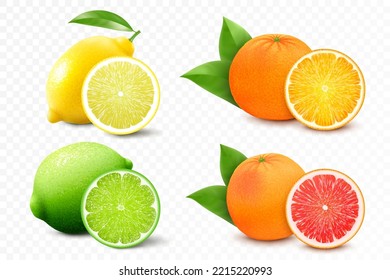 Set of citrus lemon, mandarin, lime, orange, grapefruit - whole, cut half. Fresh sour citrus fruit with vitamins. Realistic 3d vector illustration isolated on white background