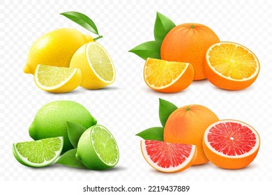 Set of citrus lemon, mandarin, lime, orange, grapefruit - whole, cut half and slices. Fresh sour citrus fruit with vitamins. Realistic 3d vector illustration isolated on white background