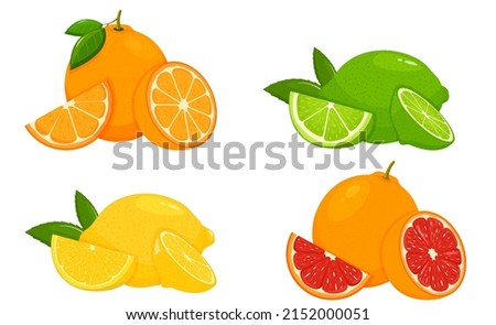 Set of citrus lemon, mandarin, lime, orange, grapefruit - whole, cut half. Fresh sour citrus fruit with vitamins. Piece and slice citrus. Vector illustration isolated on white background