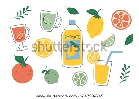 Set of citrus lemonade. Lemon, orange, lime fruits for beverage. Concept of drinks, summer, thirst. Vector flat cliparts.