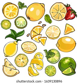Set of citrus, lemons and limes. Whole fruits and pieces. Tasty and healthy vegetarian food. Collection of vector stock illustrations. Yellow and green colors. Hand drawn, colorful, isolated.