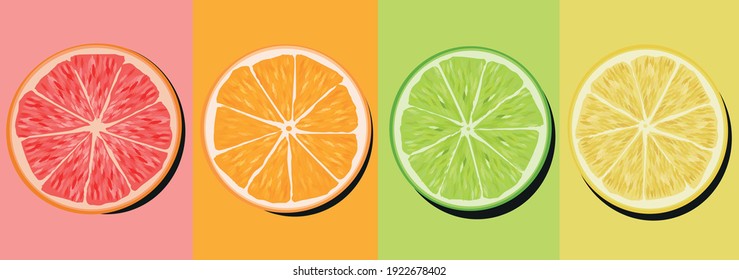 set citrus lime lime orange and grapefruit cutaway