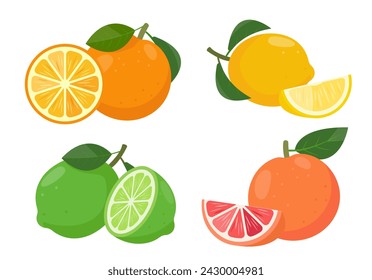 Set of citrus with slices. Fresh whole orange, lemon, lime and grapefruit with leaves and parts of citruses. Organic fruits for juice, smoothie or vitamin C healthy food. Vector illustration on white.