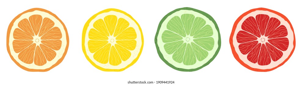 Set of citrus slices of lime, orange, grapefruit and lemon. Vector stock illustration. Textured effect on the skin. 