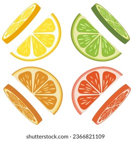 Set of citrus slices of lime, orange, grapefruit and lemon.Vector illustration EPS10.