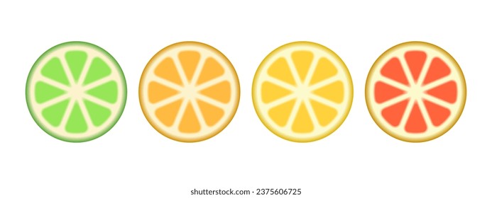 A set of citrus slices of lime, orange, grapefruit and lemon. Vector illustration.