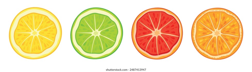 Set of citrus slices top view in cartoon style. Vector illustration of delicious and fresh assorted citrus circular slices: lemon,lime, grapefruit,orange isolated on white background.Useful fruits.