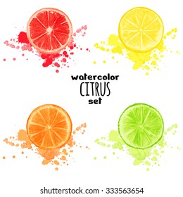 Set citrus with splashes isolated on white background. Watercolor vector illustration for decorative poster, emblem natural product, market, packaging design of cosmetics and food. Global color used.