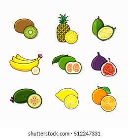 Set of citrus and tropical fruits isolated on white background.