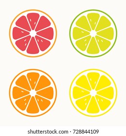 Set of citrus vector