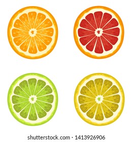 Set of citrus vector design illustration isolated on white background