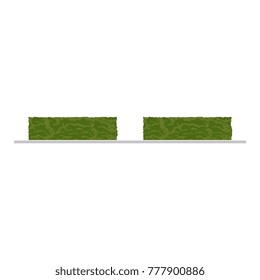 Set of city bush, hedge decoration elements, flat style vector illustration isolated on white background. Collection of green bush and hedge elements, city landscape elements